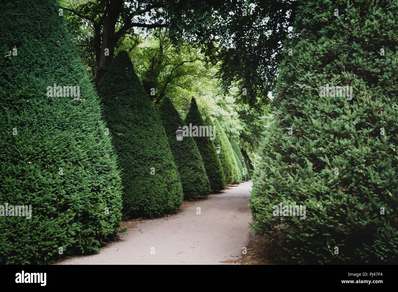 Cypress garden Stock Photo