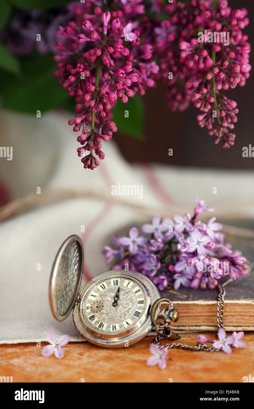 Pocket watch and beautiful lilac flower on white background Stock Photo