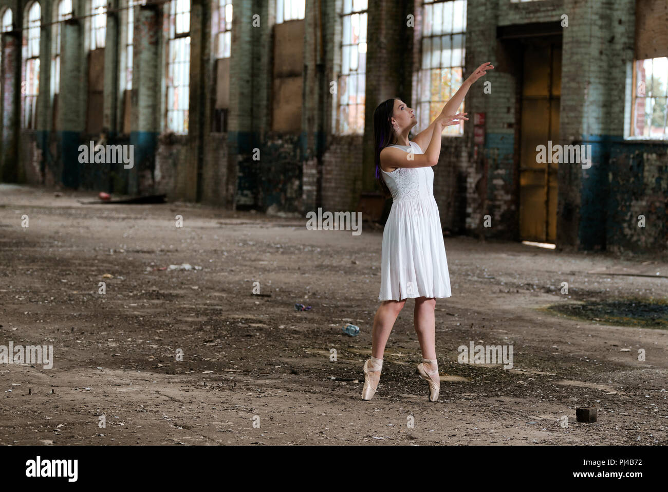 plus size mini dresses