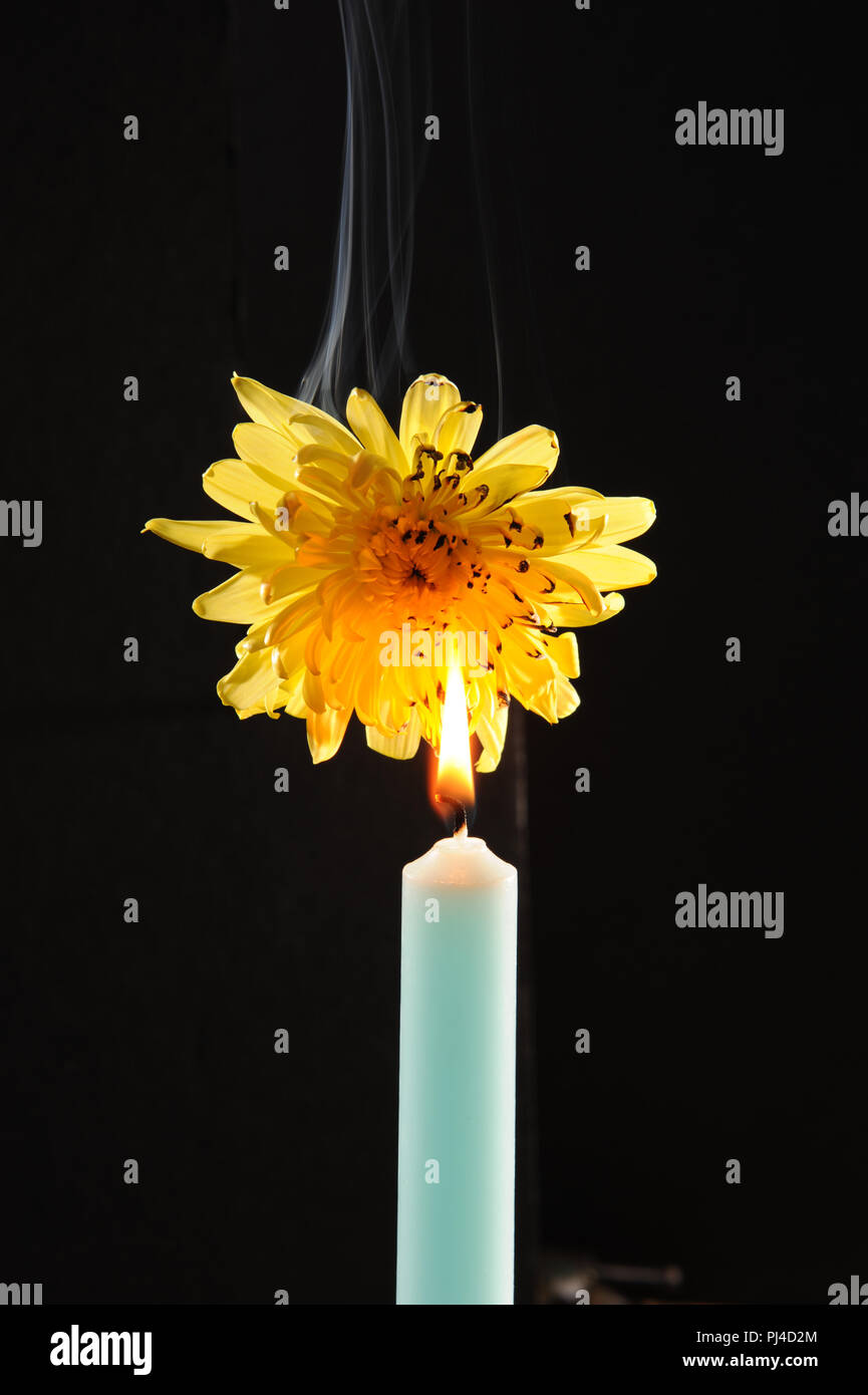 Candle flower burning hires stock photography and images Alamy
