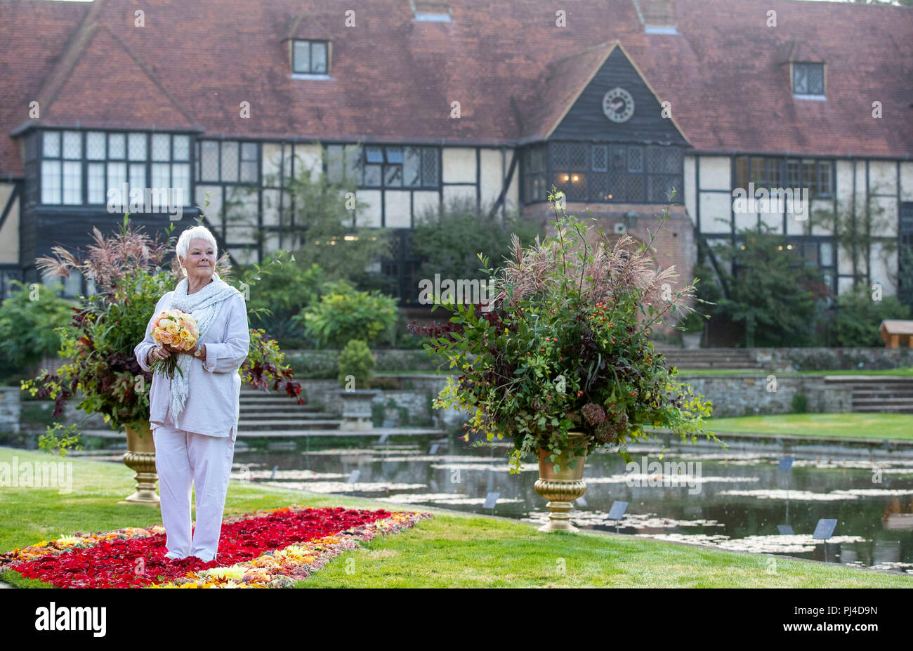 Dame Judi Dench stands on a &lsquo;red carpet&rsquo; of flowers before opening the