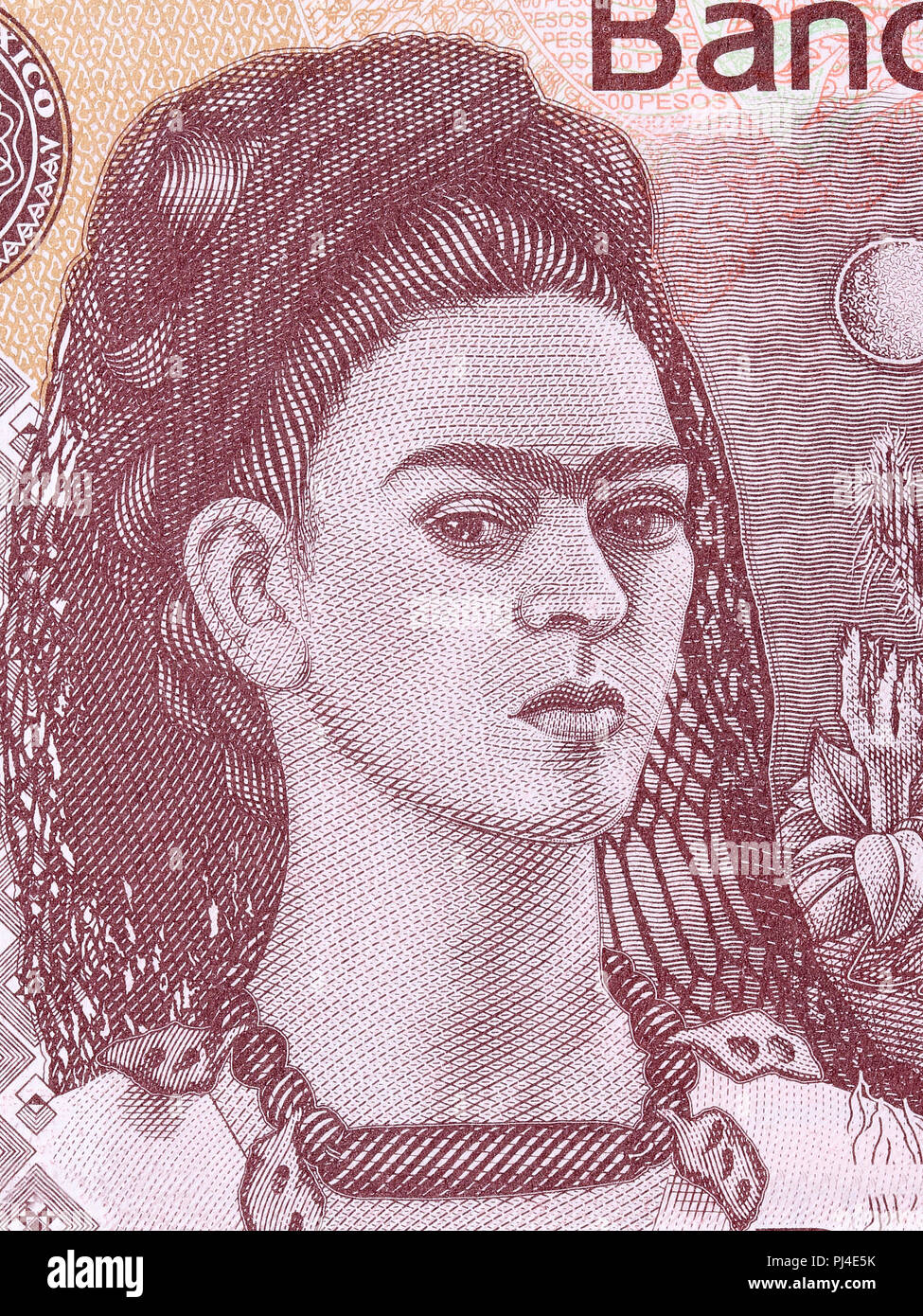 Frida Kahlo, a portrait from Mexican money Stock Photo - Alamy