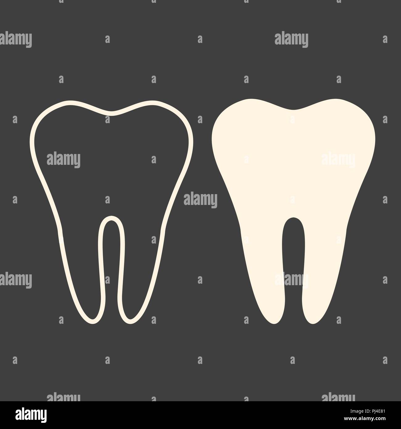 Premolar teeth human Stock Vector Images - Alamy