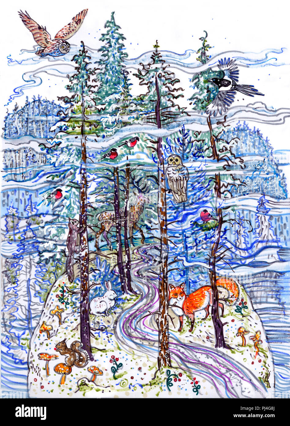 Magic Winter Forest Spruce Fir Tree Snow Animals Owl Magpie Bullfinch Squirrel Deer Fox Hare Northern Fairy Tale Hand Drawn Illustration For Children Christmas New Year Greeting Card Stock Photo Alamy Magic Winter Forest Spruce Fir Tree Snow Animals Owl Magpie Bullfinch Squirrel Deer Fox Hare Northern Fairy Tale Hand Drawn Illustration For Children Christmas New Year Greeting Card Stock Photo Alamy