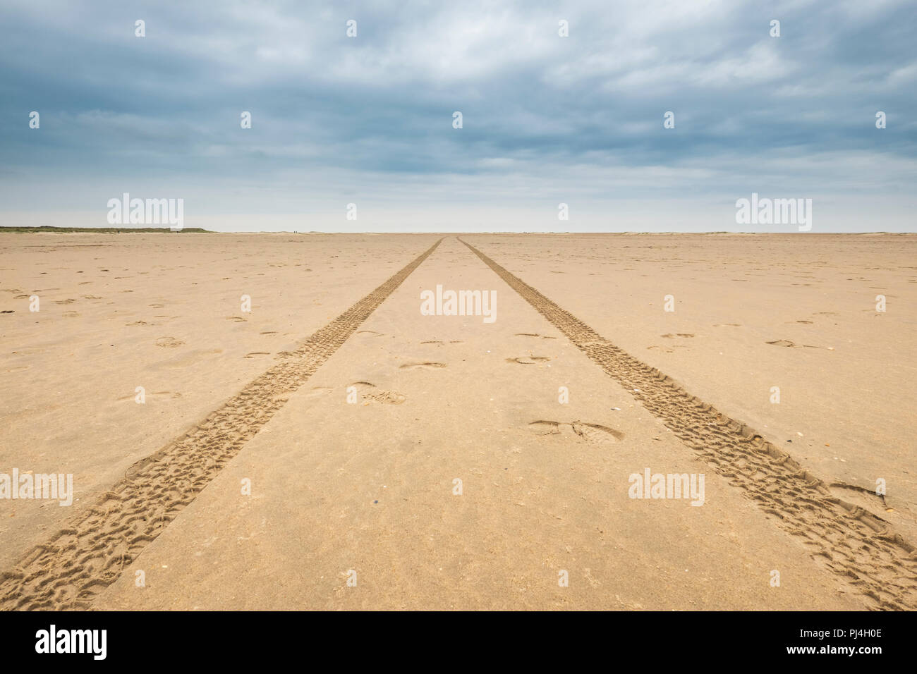 car tires print in the sand on a deserted cloudy beach and leave tire tracks behind towards the horizon Stock Photo