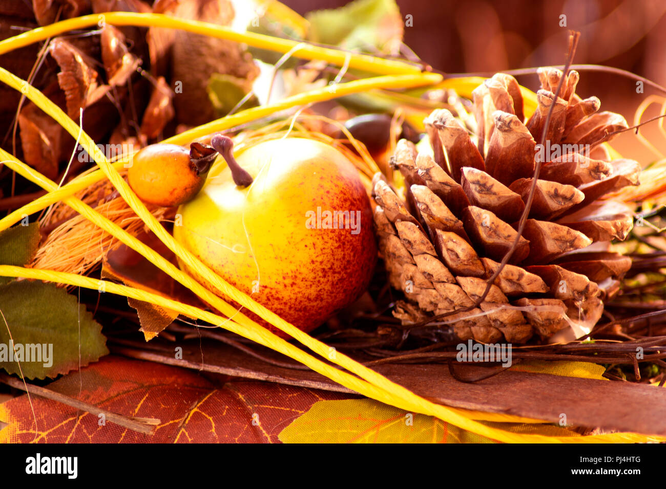 Concept Autumn : It feels like autumntime Stock Photo