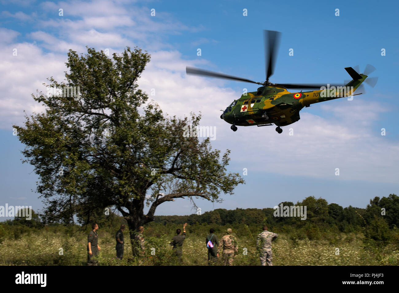 puma helicopter in action