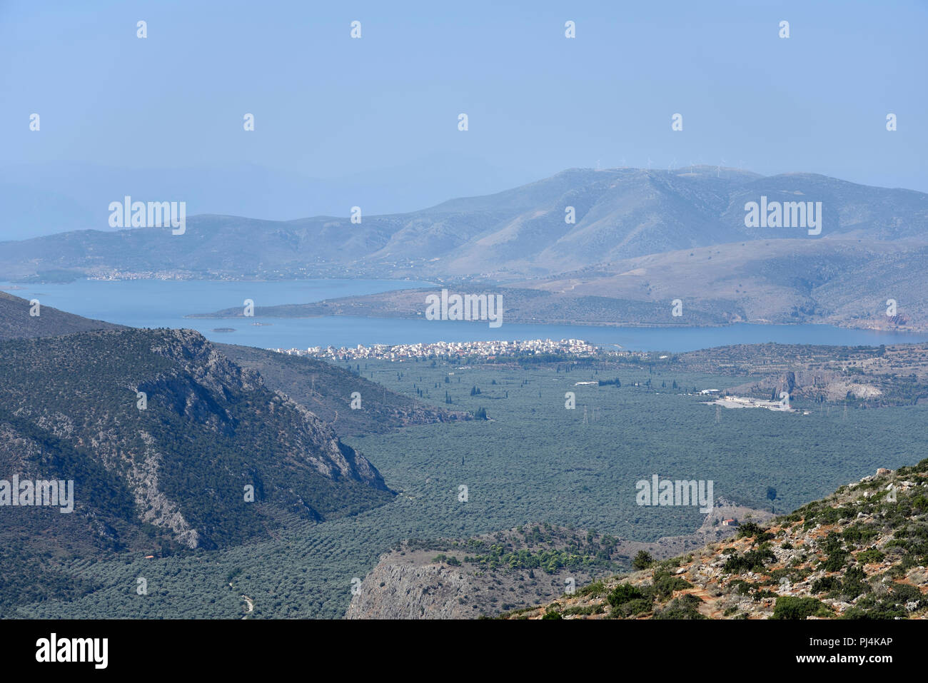 The valley of Itea in Central Greece Stock Photo