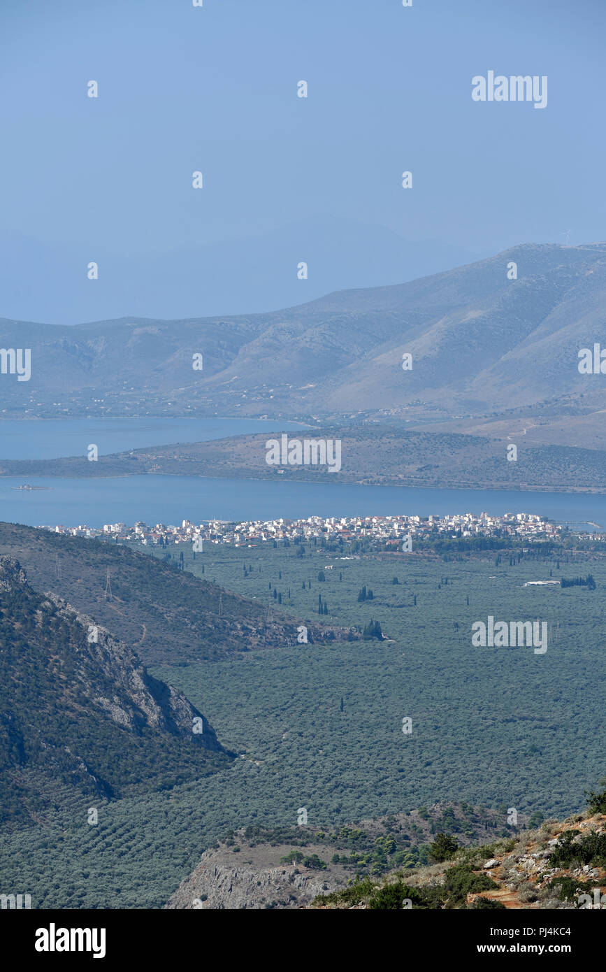 The valley of Itea in Central Greece Stock Photo Alamy