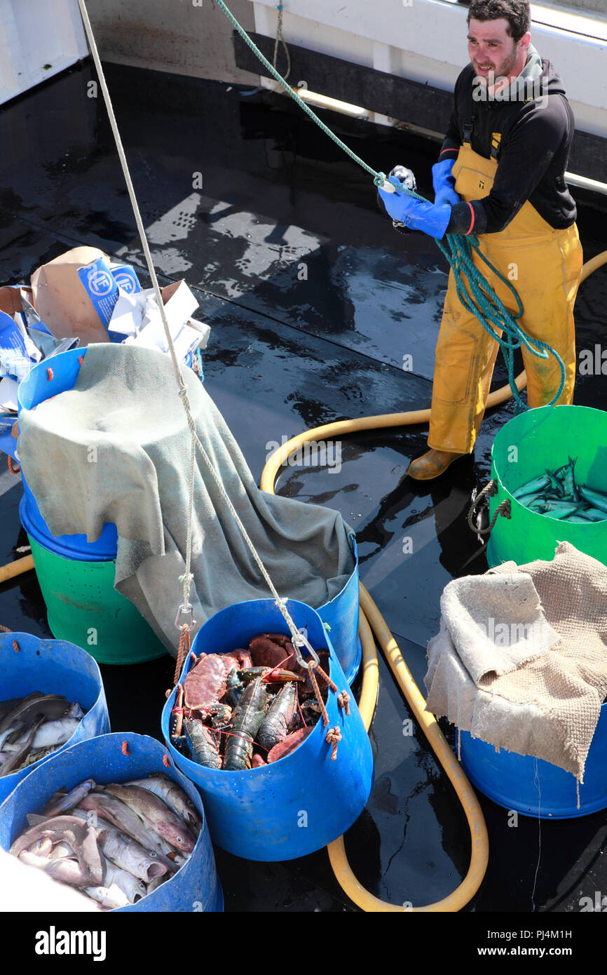Lobsters fishing crab crabs hires stock photography and images Alamy