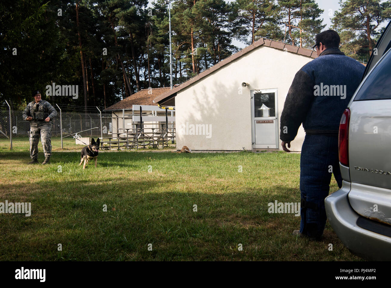 U.S. Air Force Staff Sgt. Adrienne Neuburger, 52nd Security Forces Squadron military working dog handler, left, and Staff Sgt. Michael Hensley, 52nd SFS MWD trainer, right, conduct vehicle extraction training at Spangdahlem Air Base, Germany, Aug. 28, 2018. Tina, a MWD, was taught the initial phase of how to remove a resistant suspect from a vehicle. (U.S. Air Force photo by Airman 1st Class Valerie Seelye) Stock Photo