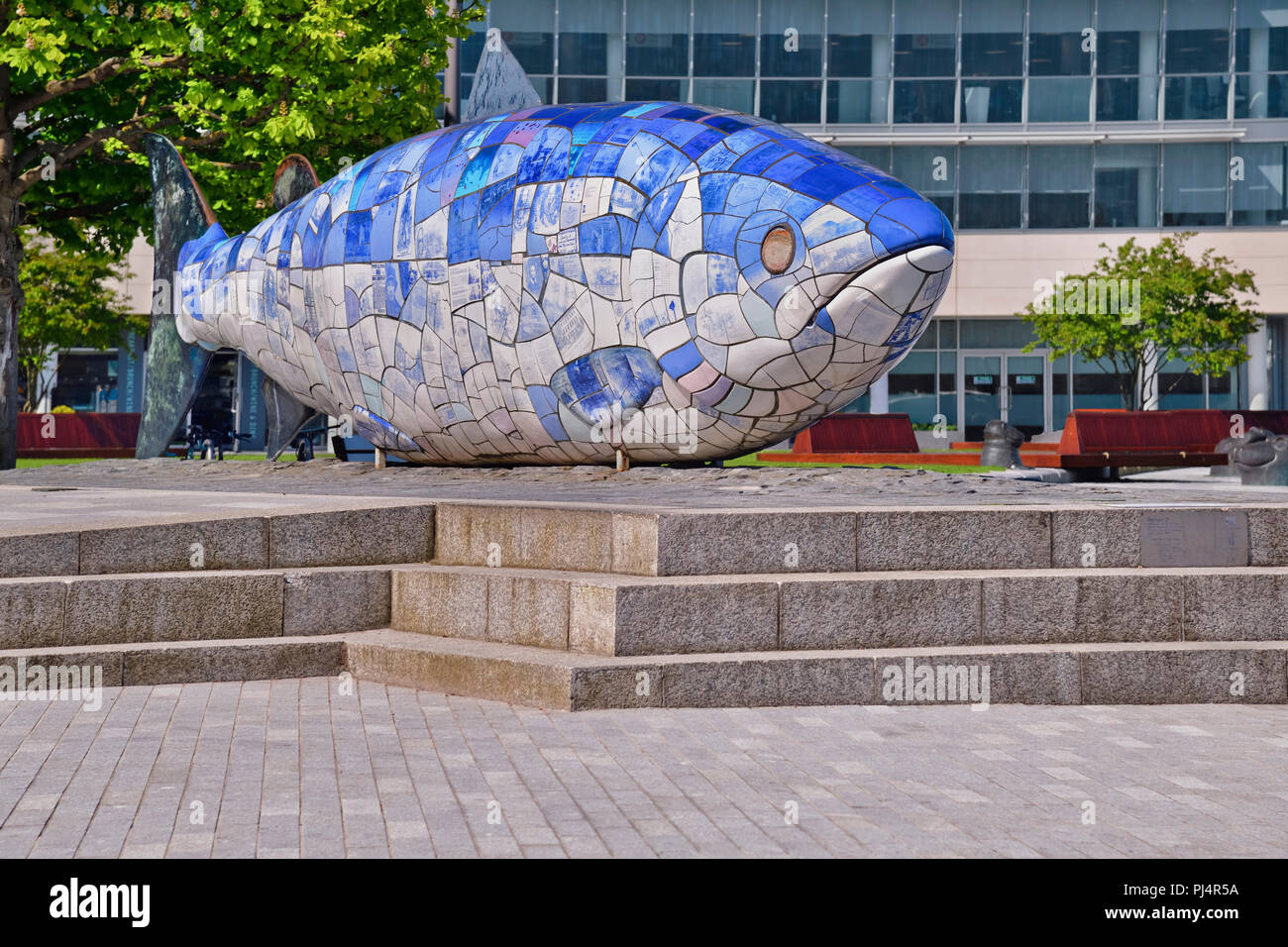 Big Blue Fish Stock Photos & Big Blue Fish Stock Images Alamy
