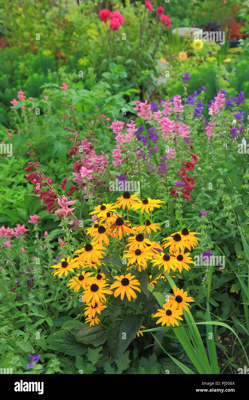 Flower bed in English cottage style garden Stock Photo Alamy