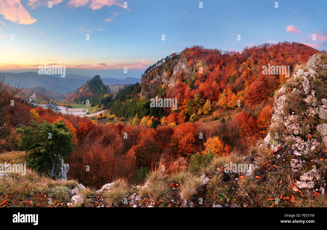 Autumn forest in mountain Stock Photo