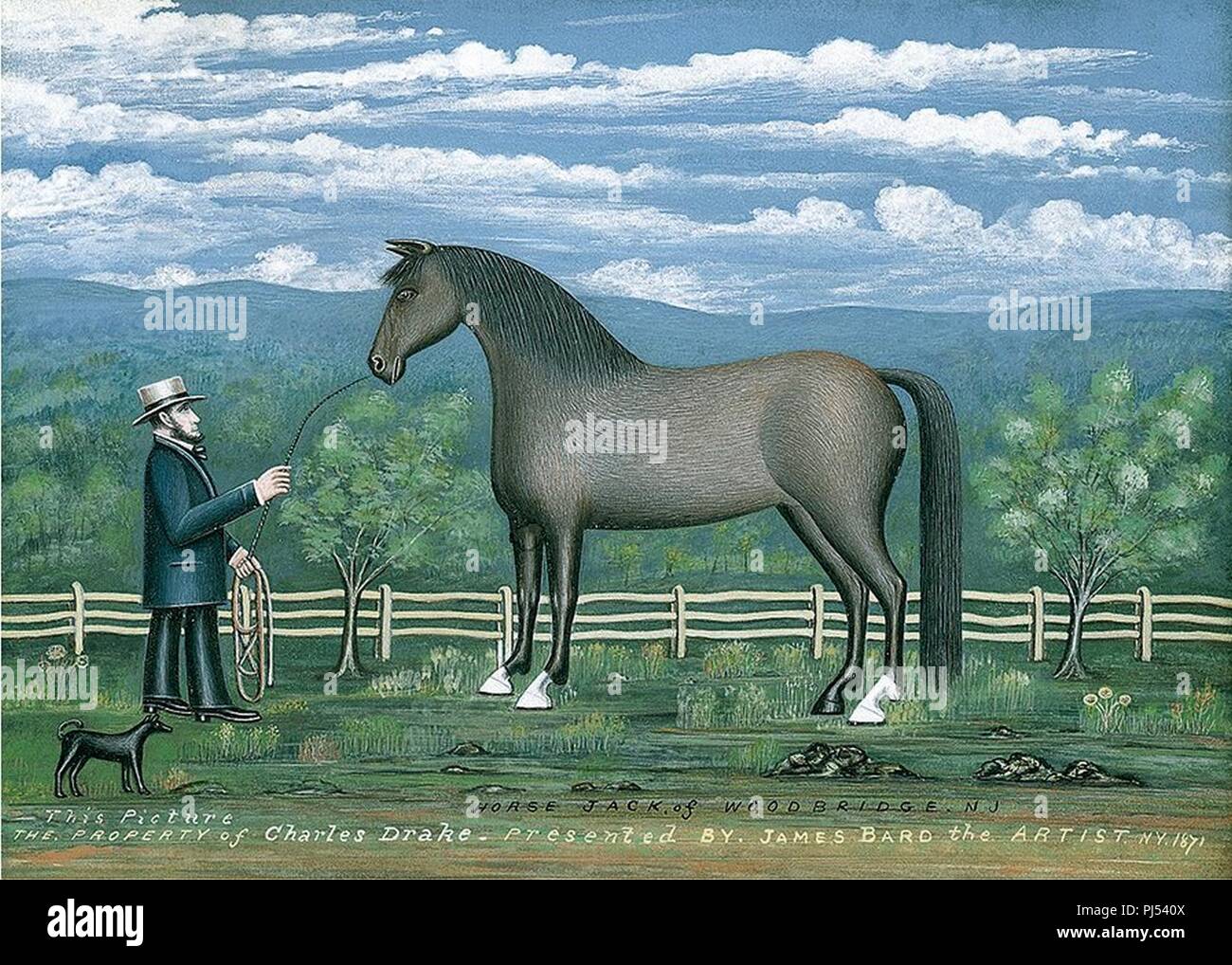 Horse Jack of Woodbridge, NJ by James Bard Stock Photo Alamy