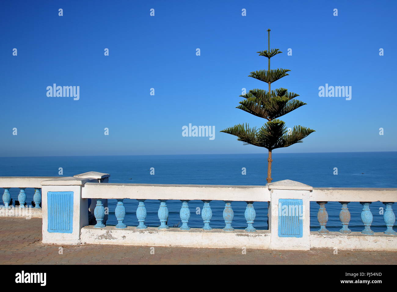 Landscape with low white wall decorated with blue small columns, one green tree, sea (ocean), full of calmness, nobody, blue sky, Morocco. Stock Photo