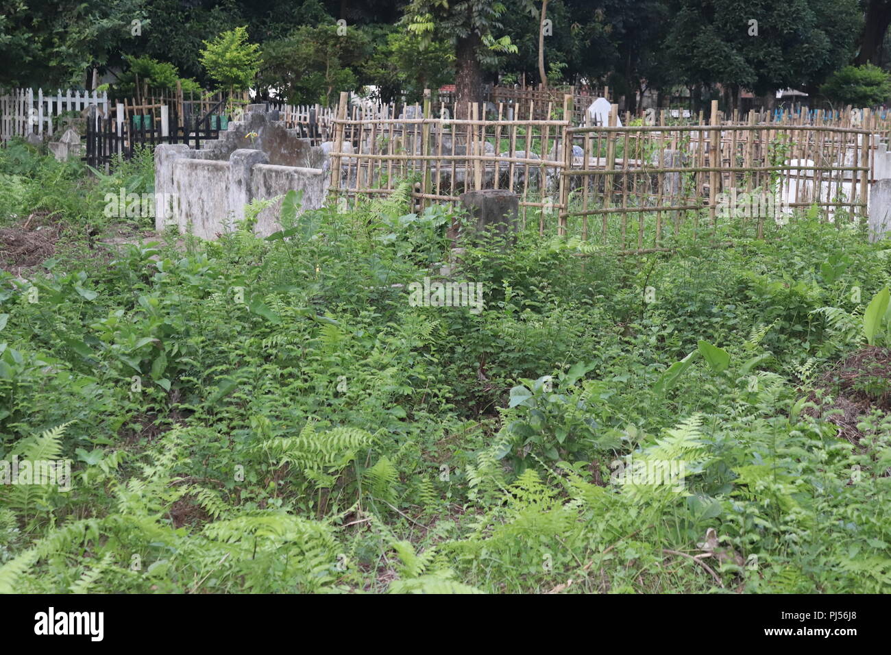 Bamboo Fencing High Resolution Stock Photography And Images Alamy