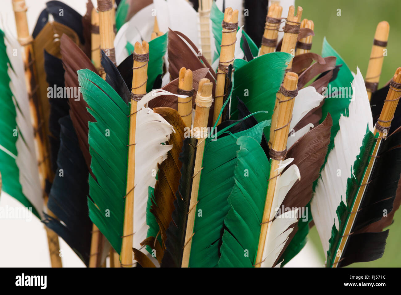 Medieval arrow fletchings or feathers traditionally attached with glue and thread they are used to stabilise the arrow in flight Stock Photo