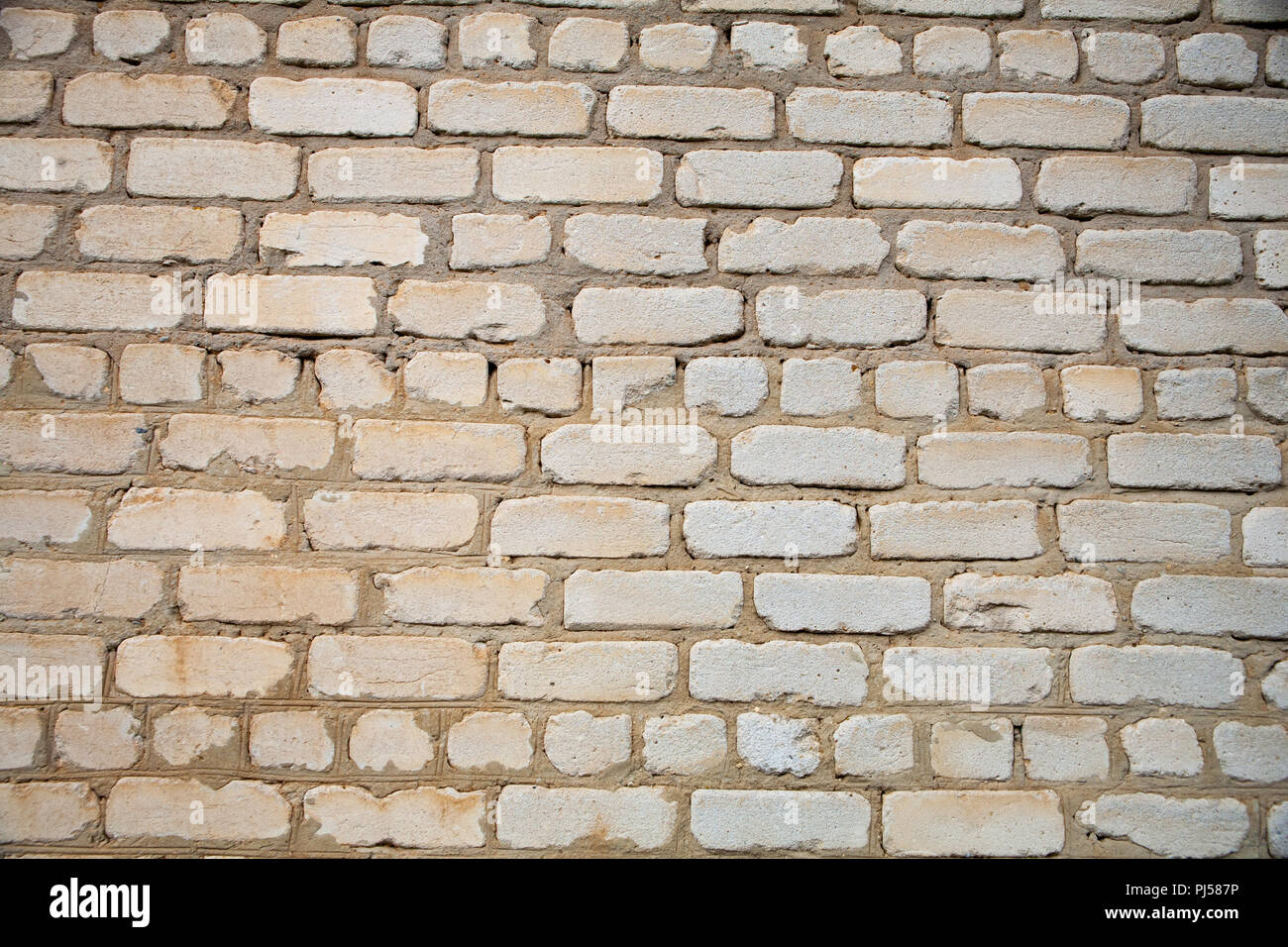old brick wall of white brick with cement seams texture Stock Photo - Alamy