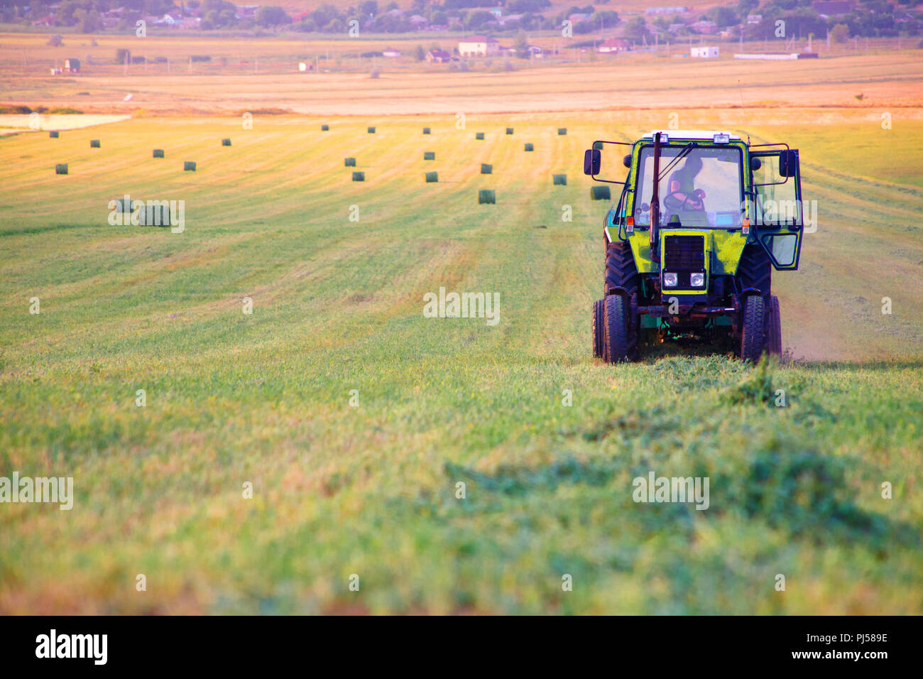 The farmer on the tractor collects the hay cut in the field in bales for storage for the winter