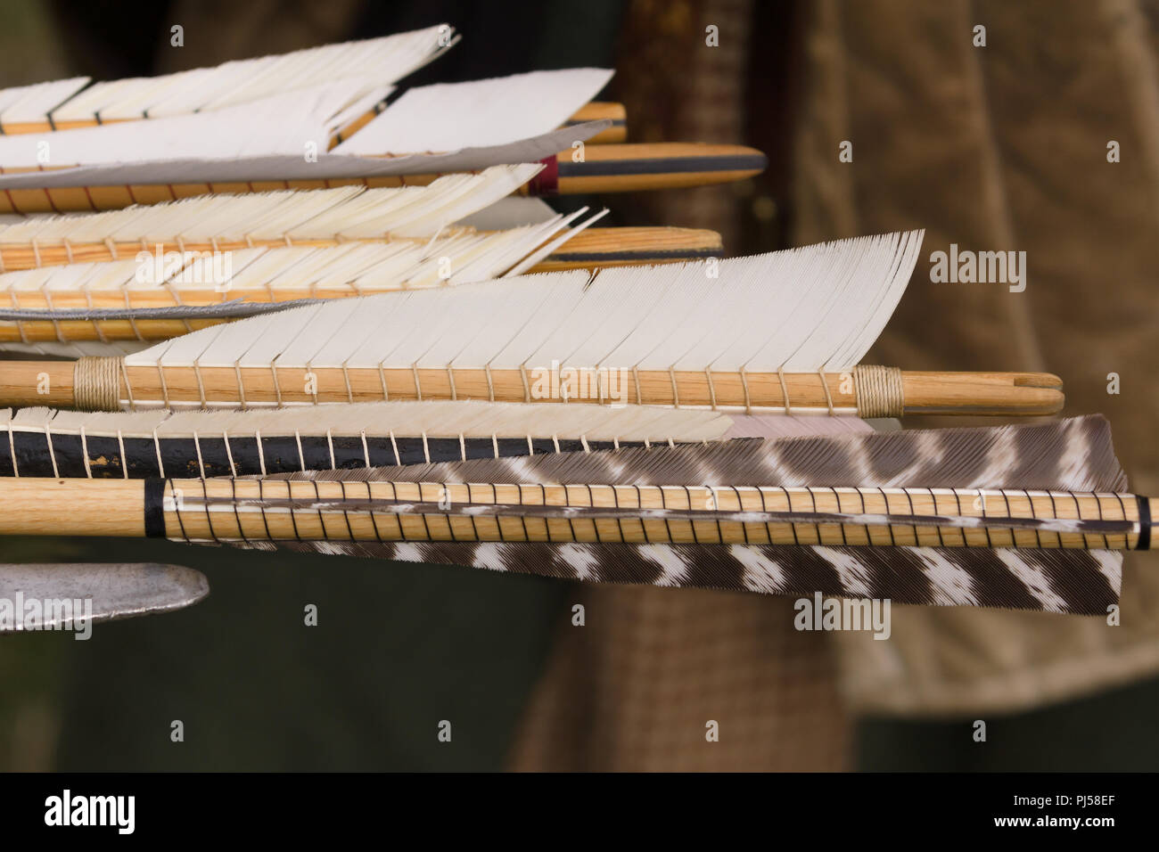 Medieval arrow fletchings or feathers traditionally attached with glue