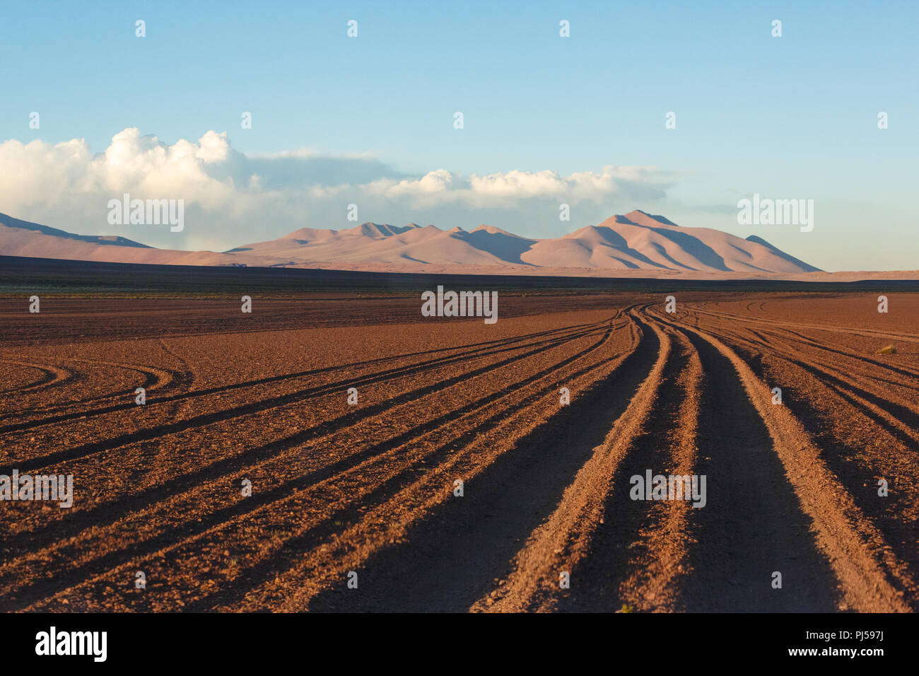 Tyre tracks run off into the distance across the Bolivian altiplano Stock Photo