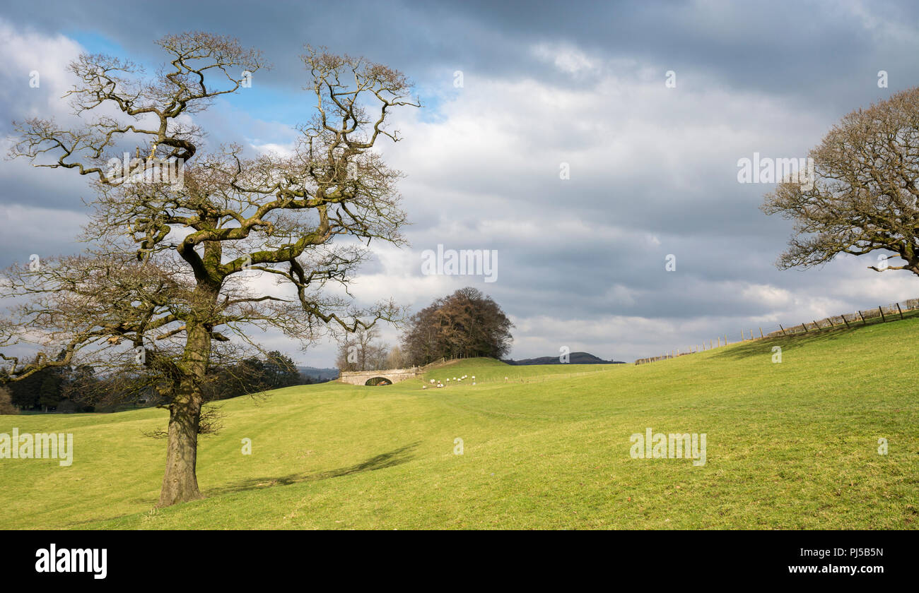Abandoned northern reaches of the Lancaster Canal near Sedgwick