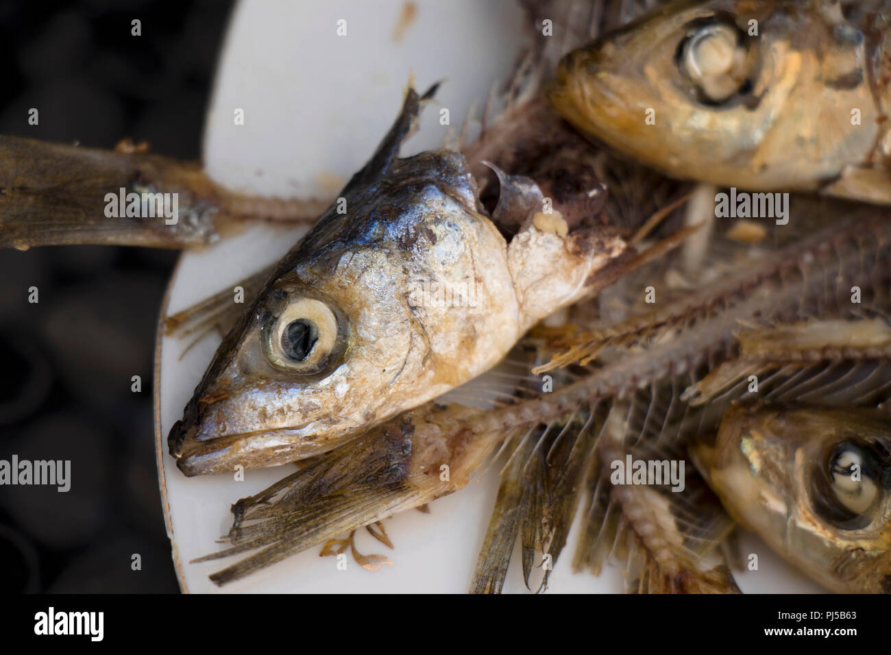 Heads and bones of eaten sardines on a plate, very healthy, tasty and cheap Mediterranean fish , a rich meal for the poor Stock Photo