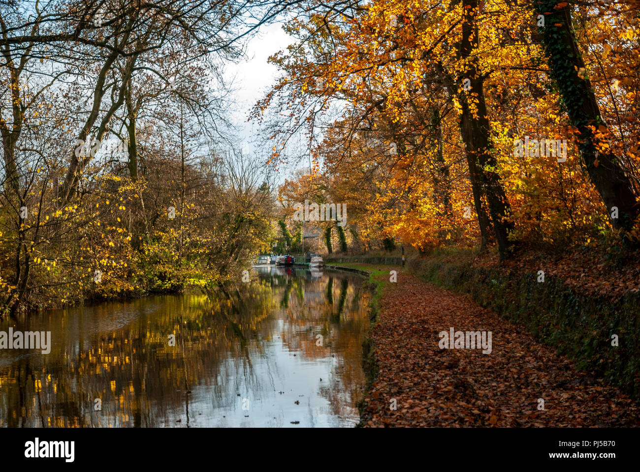 Salwick hi-res stock photography and images - Alamy