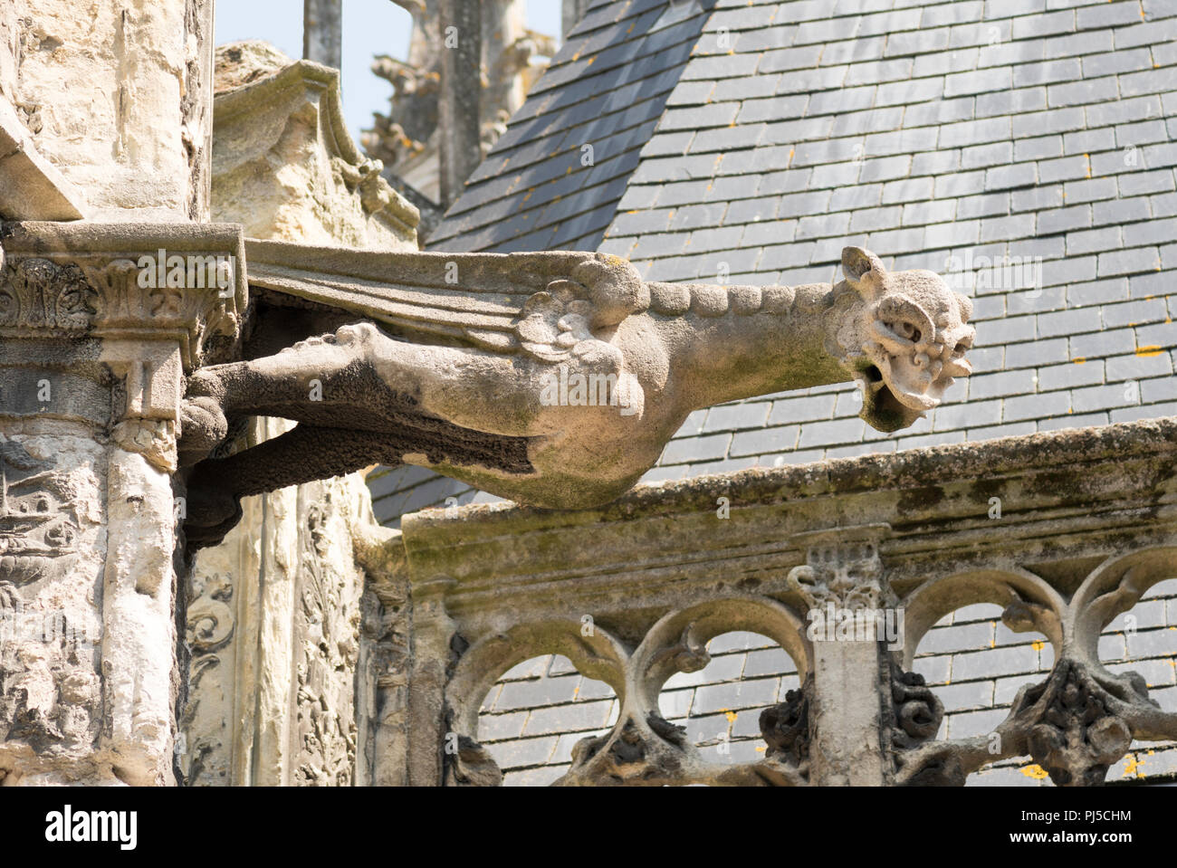 Gargoyle, SaintJacques Church, Dieppe, Normandy, France, Europe Stock