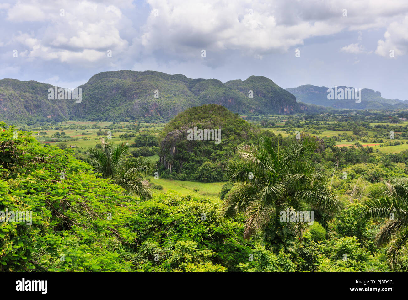 Viñales Valley panorama, view across lush green landscape and mogotes
