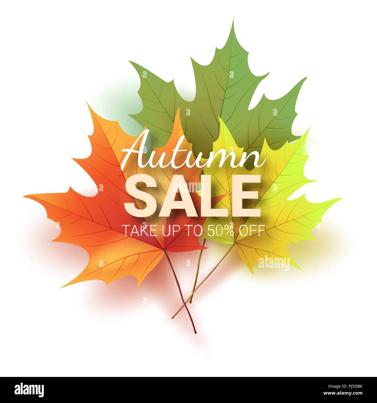Autumn leaves. Bright colourful autumn oak leaves. Template for placards. Seasonal sale in shop. Vector Illustration Stock Vector