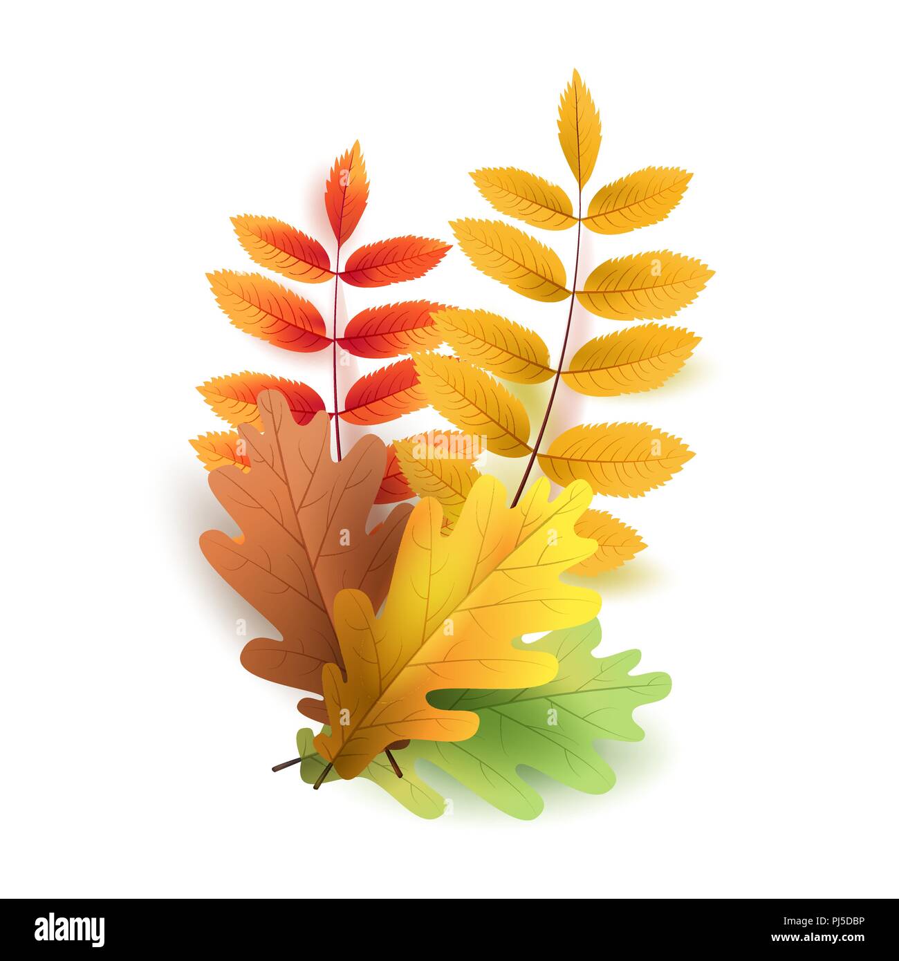 autumn leaves bright colourful