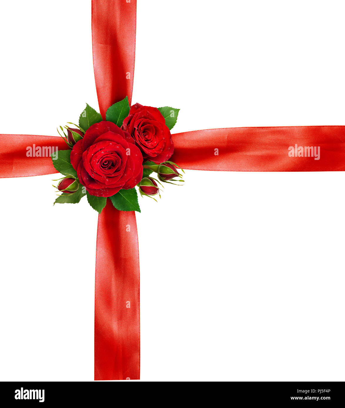 Rer satin ribbons and rose flowers arrangement isolated on white ...