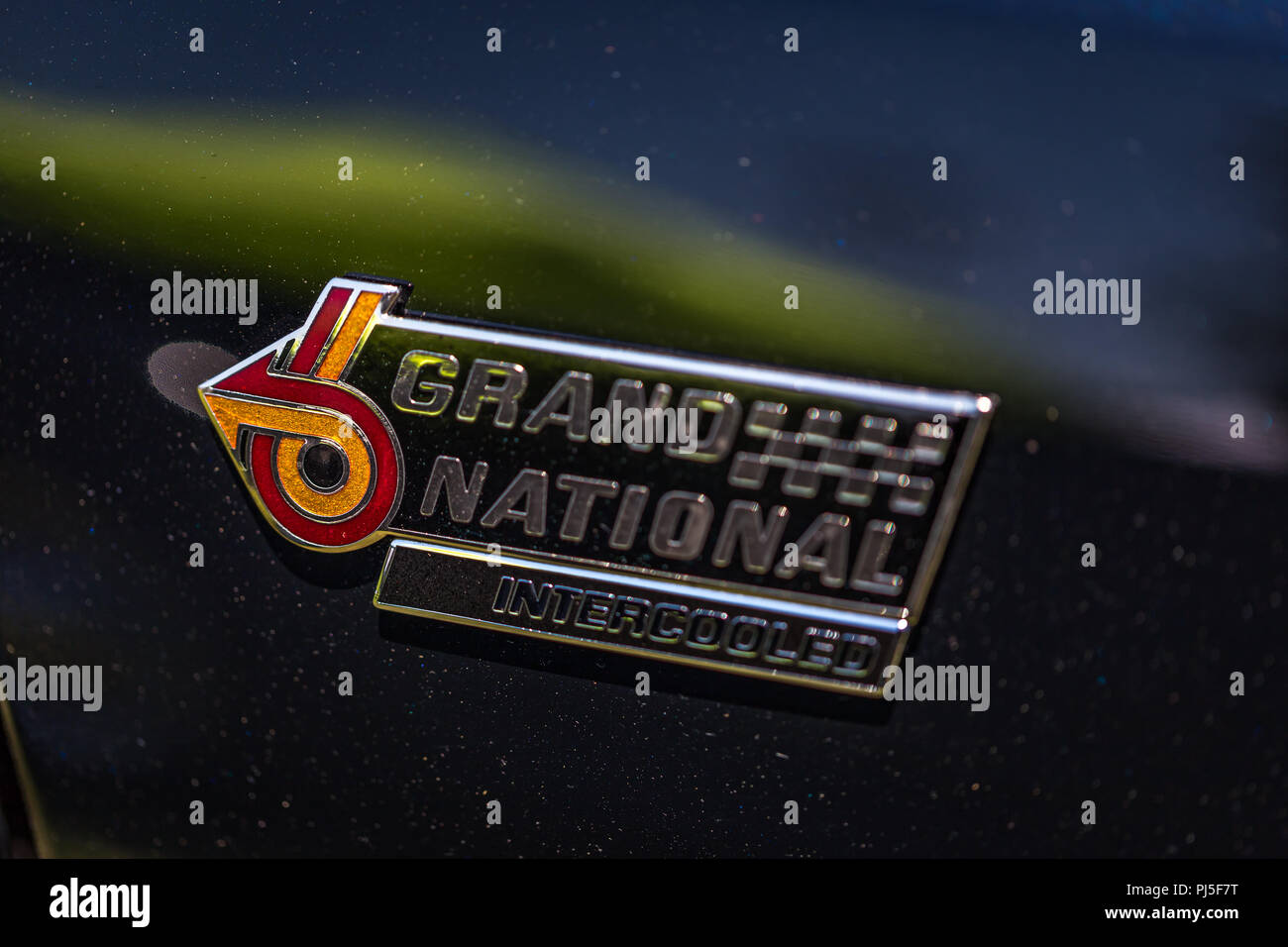 Shallow depth of field closeup of the fender emblem on a 1987 Buick