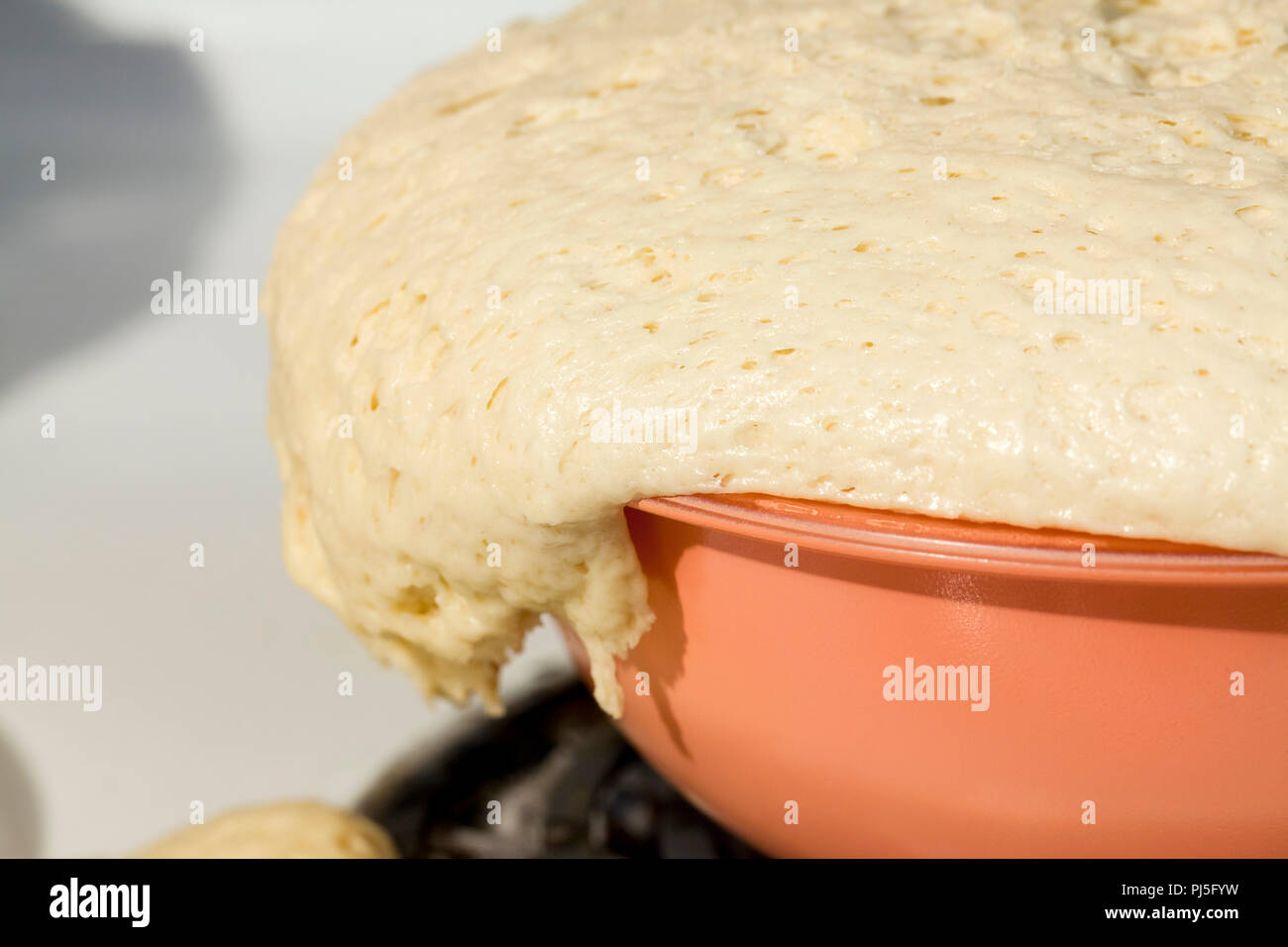 Bread dough in a metal mixing bowl - Stock Image - F016/4152 - Science  Photo Library