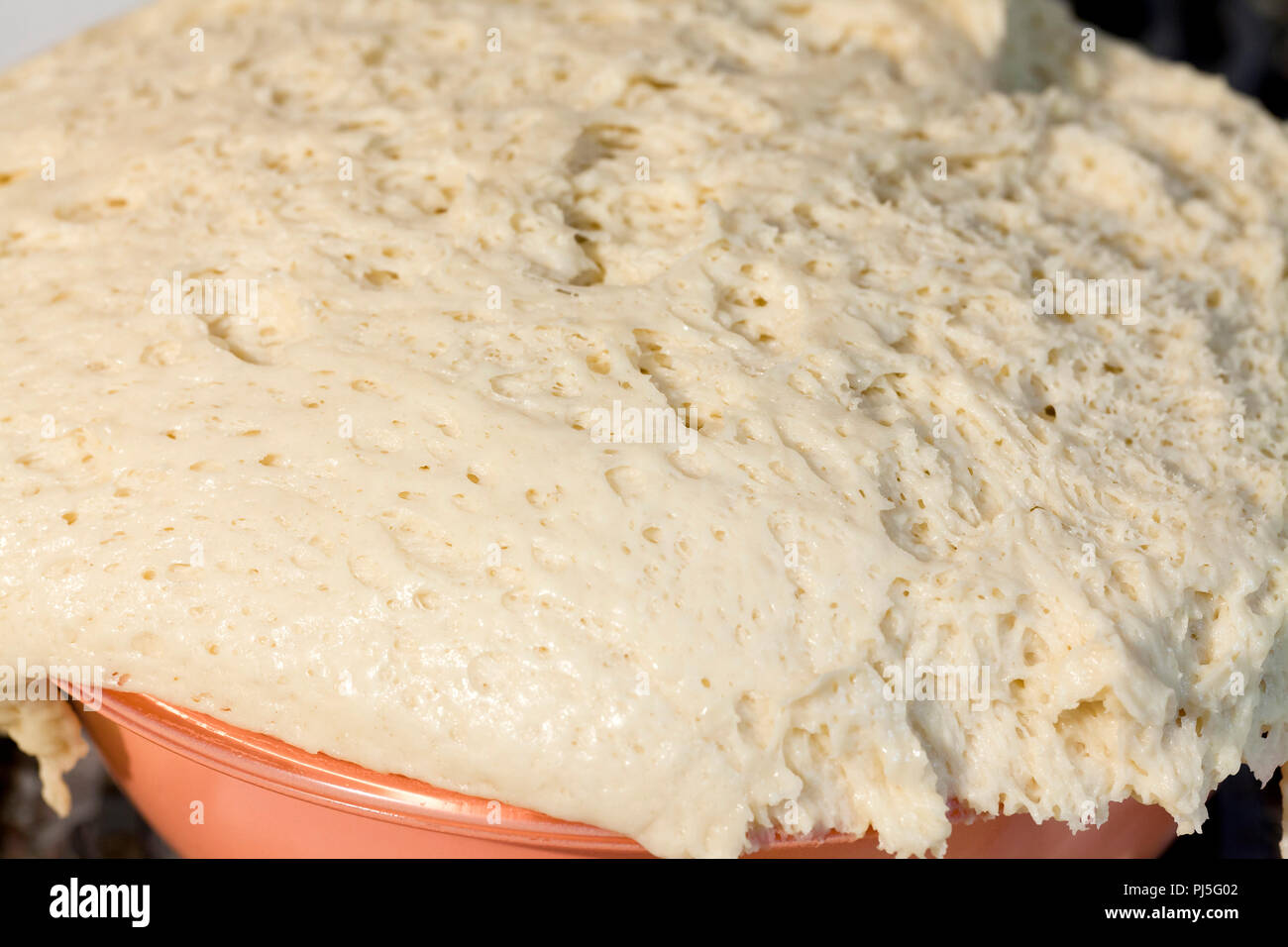 First rise of bread dough in bowl - USA Stock Photo