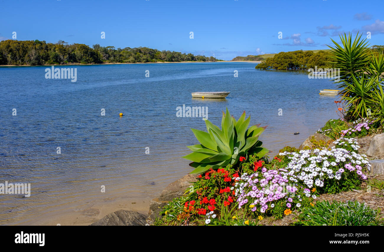 Australia landscape, Minnamurra River, view to sea entrance, with colourful flowers in foreground, Illawarra, New South Wales, Australia Stock Photo