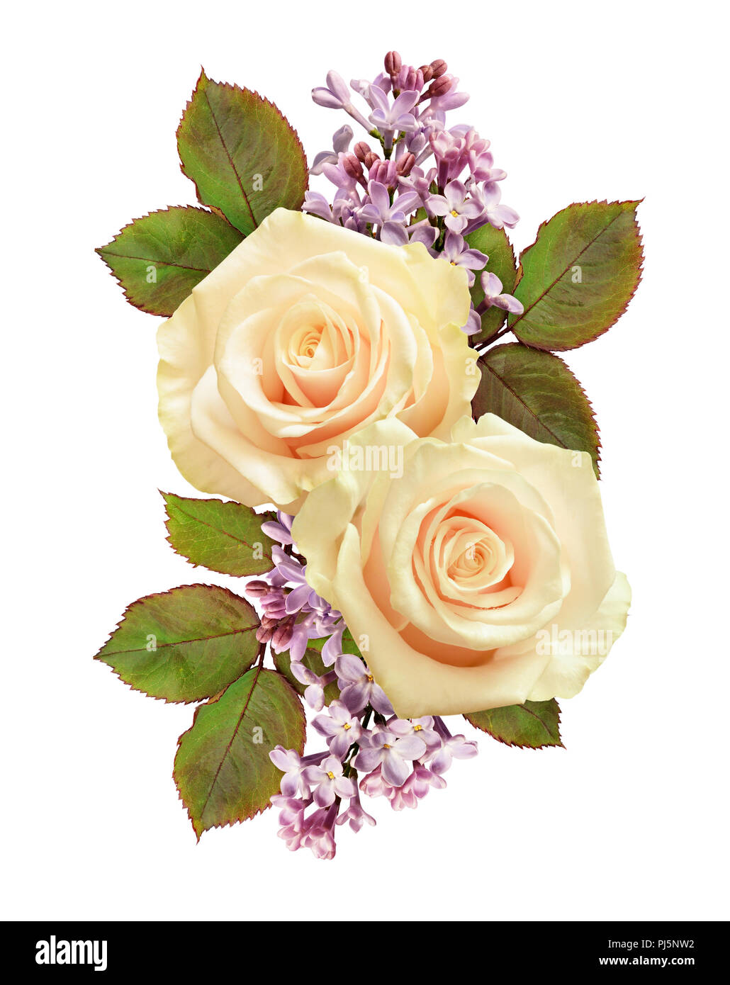 White roses and lilac flowers in festive composition isolated on white ...