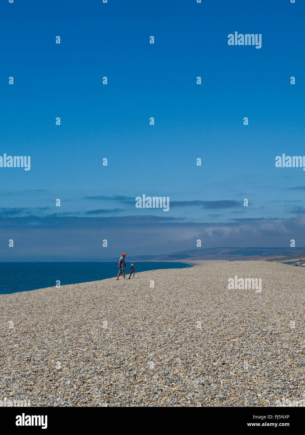 Chesil Beach: The beautiful West Country beach that's a ridiculous 18 miles  long - Somerset Live