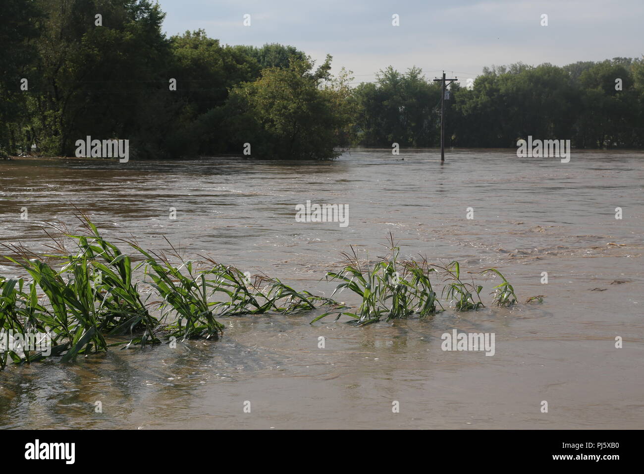 An area of Leon, Wis., shows flooding Aug, 28, 2018 in Monroe County, Wis. Firefighters with the Directorate of Emergency Services Fire Department at Fort McCoy, Wis., helped with rescue operations for the flooding. On Aug. 27 to early Aug. 28, 2018, 5-12 inches of rain fell on several areas of Monroe County, causing flash flooding and stranding residents in flooded areas. Fort McCoy firefighters helped with the rescue of people in the affected areas. (U.S. Army Photo by Scott T. Sturkol, Public Affairs Office, Fort McCoy, Wis.) Stock Photo