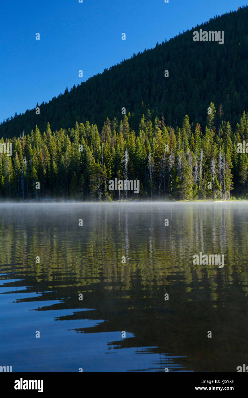 Little Cultus Lake, Deschutes National Forest, Cascade Lakes National Scenic Byway, Oregon Stock