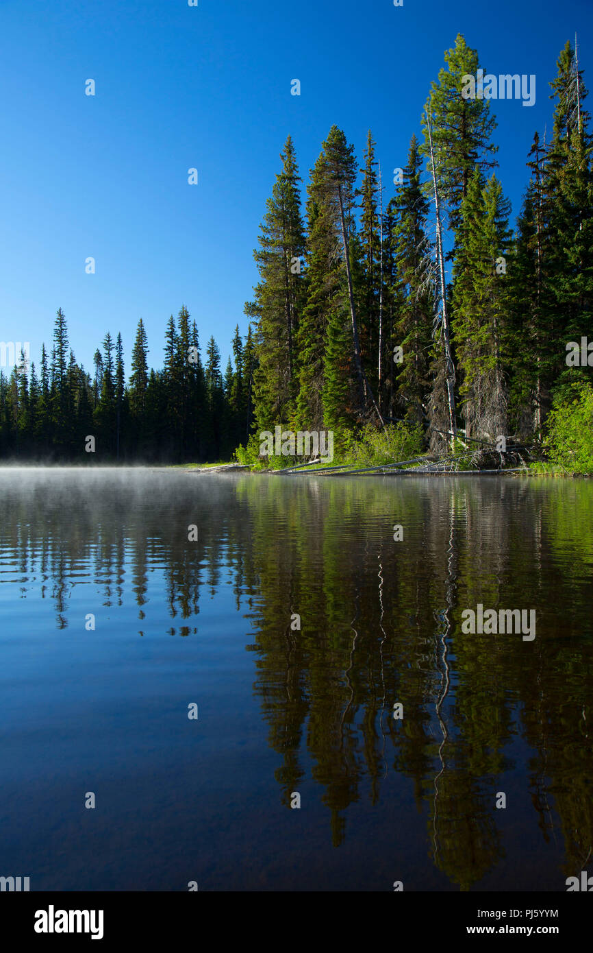 Little Cultus Lake, Deschutes National Forest, Cascade Lakes National