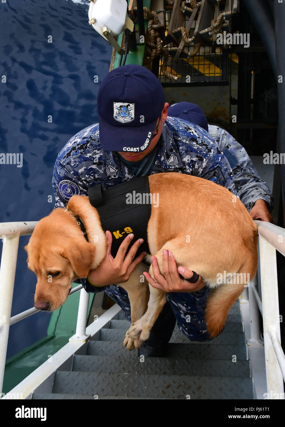 How Can I Bring My Dog From Philippines To Singapore