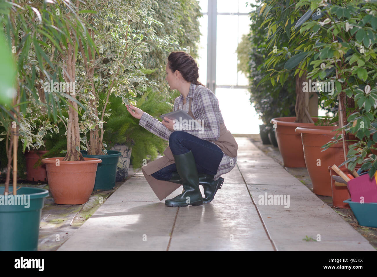 Garden centre worker woman hi-res stock photography and images - Alamy