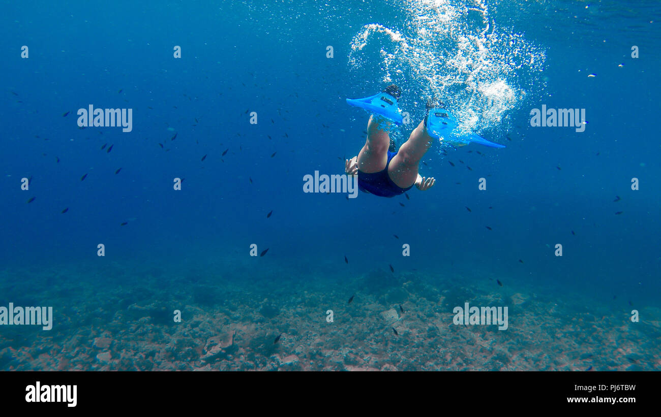 A girl is diving in the blue sea.Beautiful scene of underwater activity