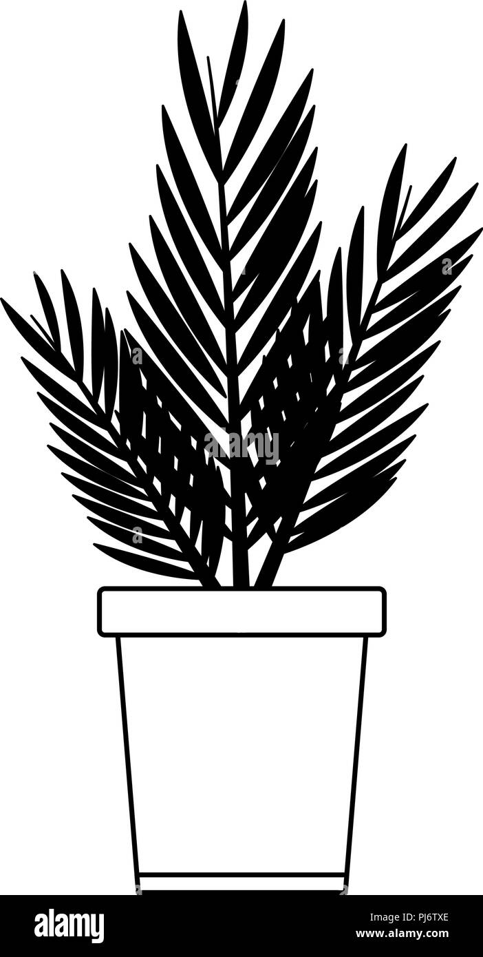 Plant in pot isolated in black and white Stock Vector Image & Art - Alamy