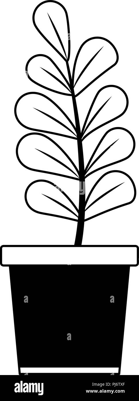 Plant in pot isolated in black and white Stock Vector Image & Art - Alamy