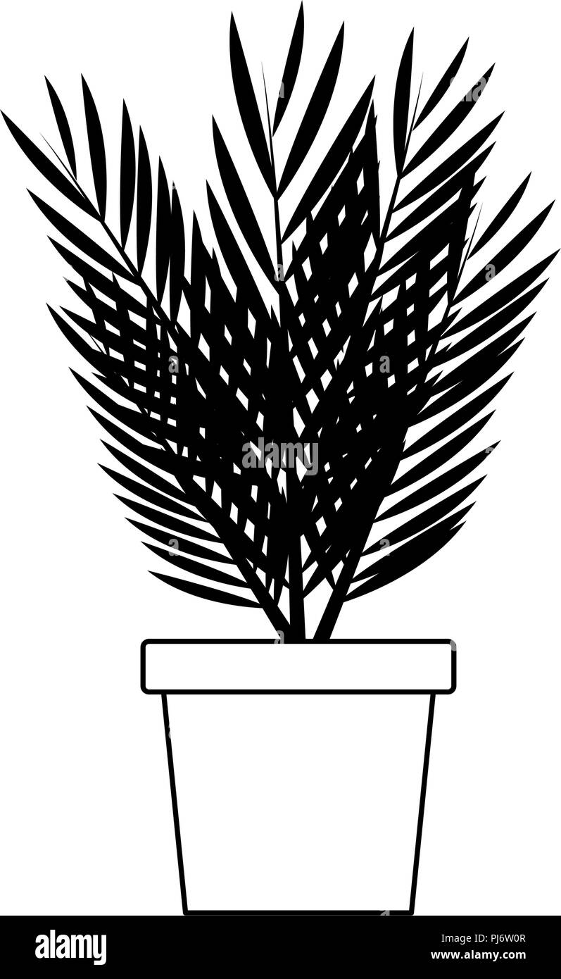 Plant in pot isolated in black and white Stock Vector Image & Art - Alamy