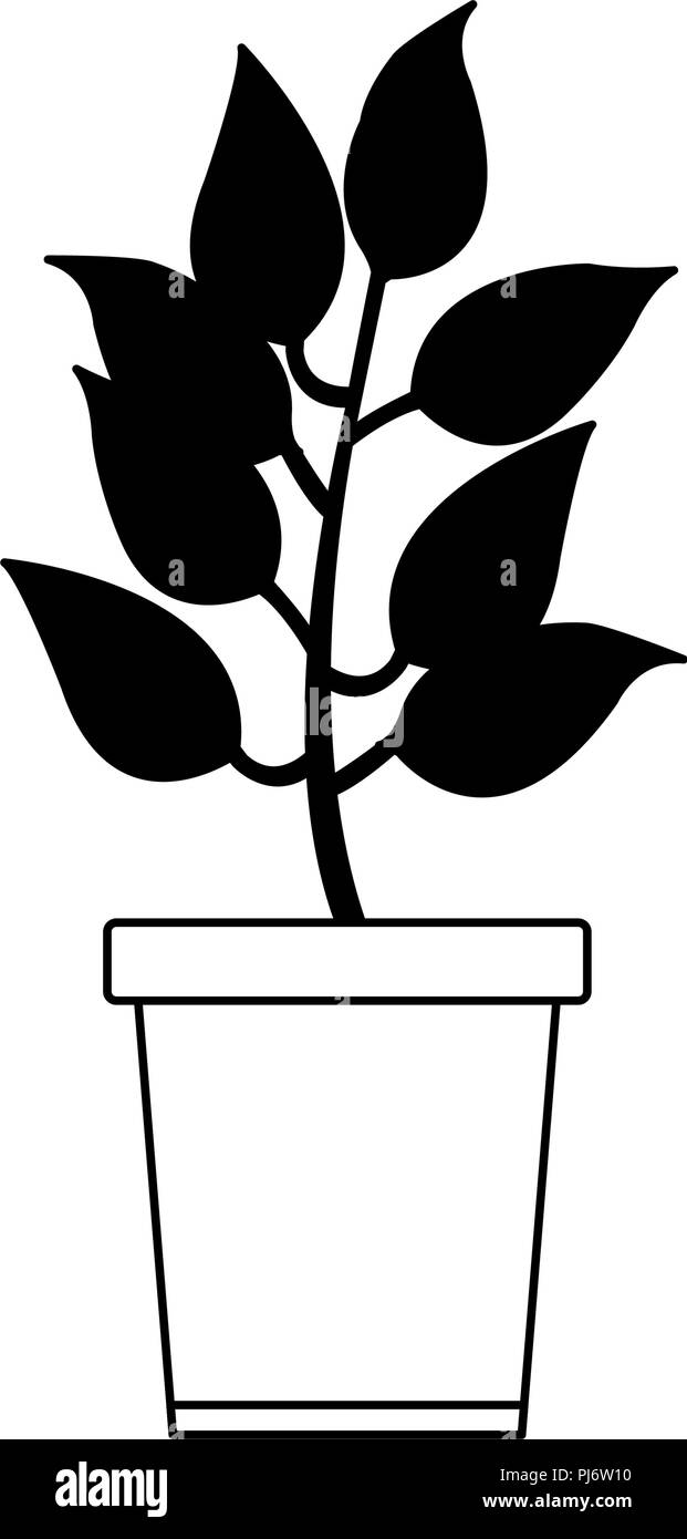 Plant in pot isolated in black and white Stock Vector Image & Art - Alamy